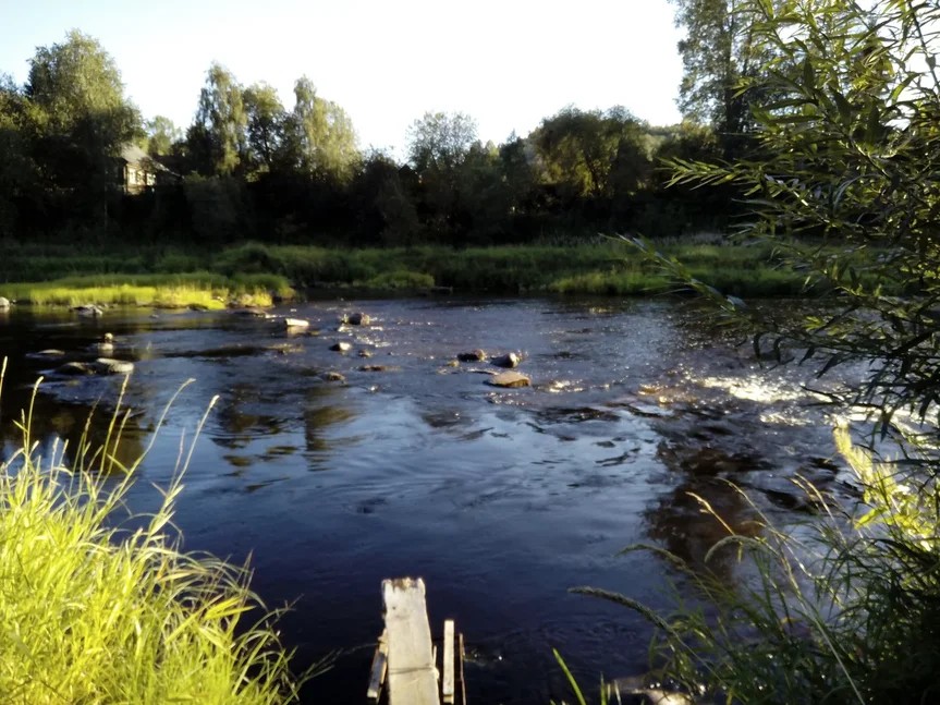Река Оять Ленинградской области 